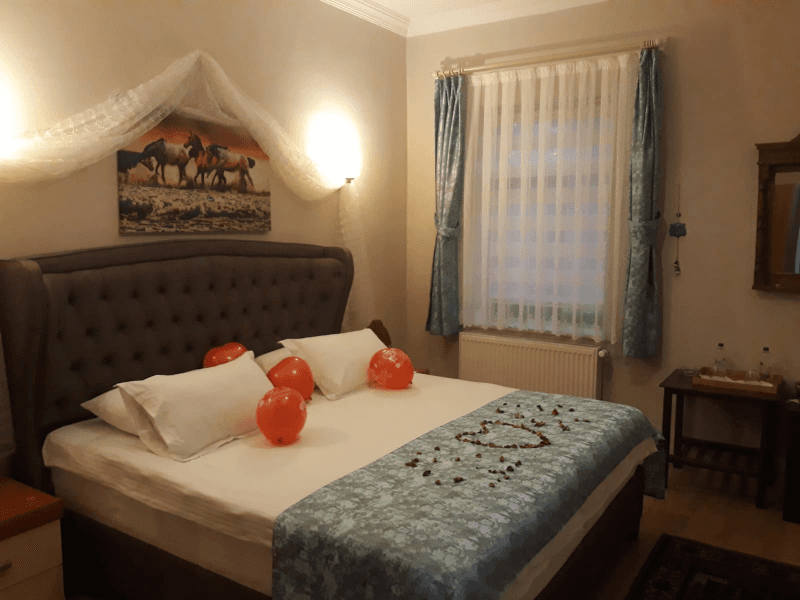 Deluxe Room 203 image 3